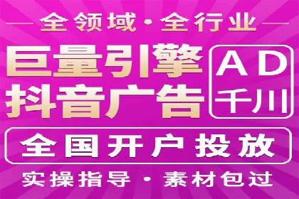 行业领先企业的SEM代理案例剖析